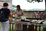 wald_jagdtag_25_06_2023 (294)